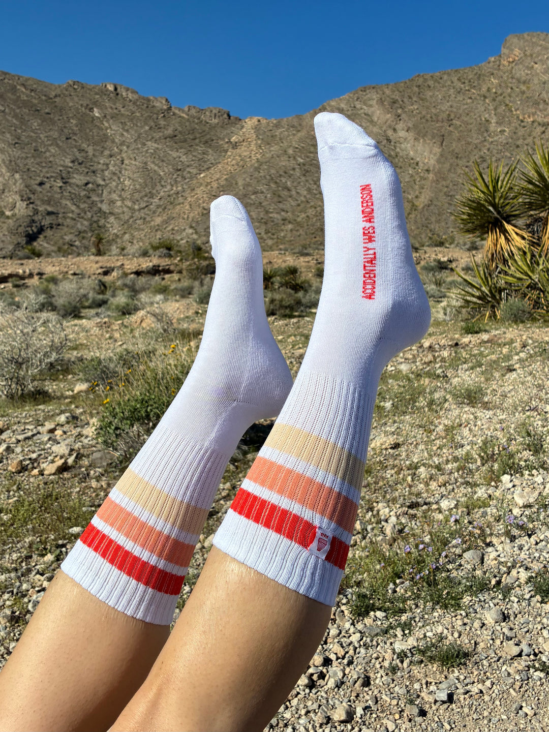 Crew Socks - Red Striped