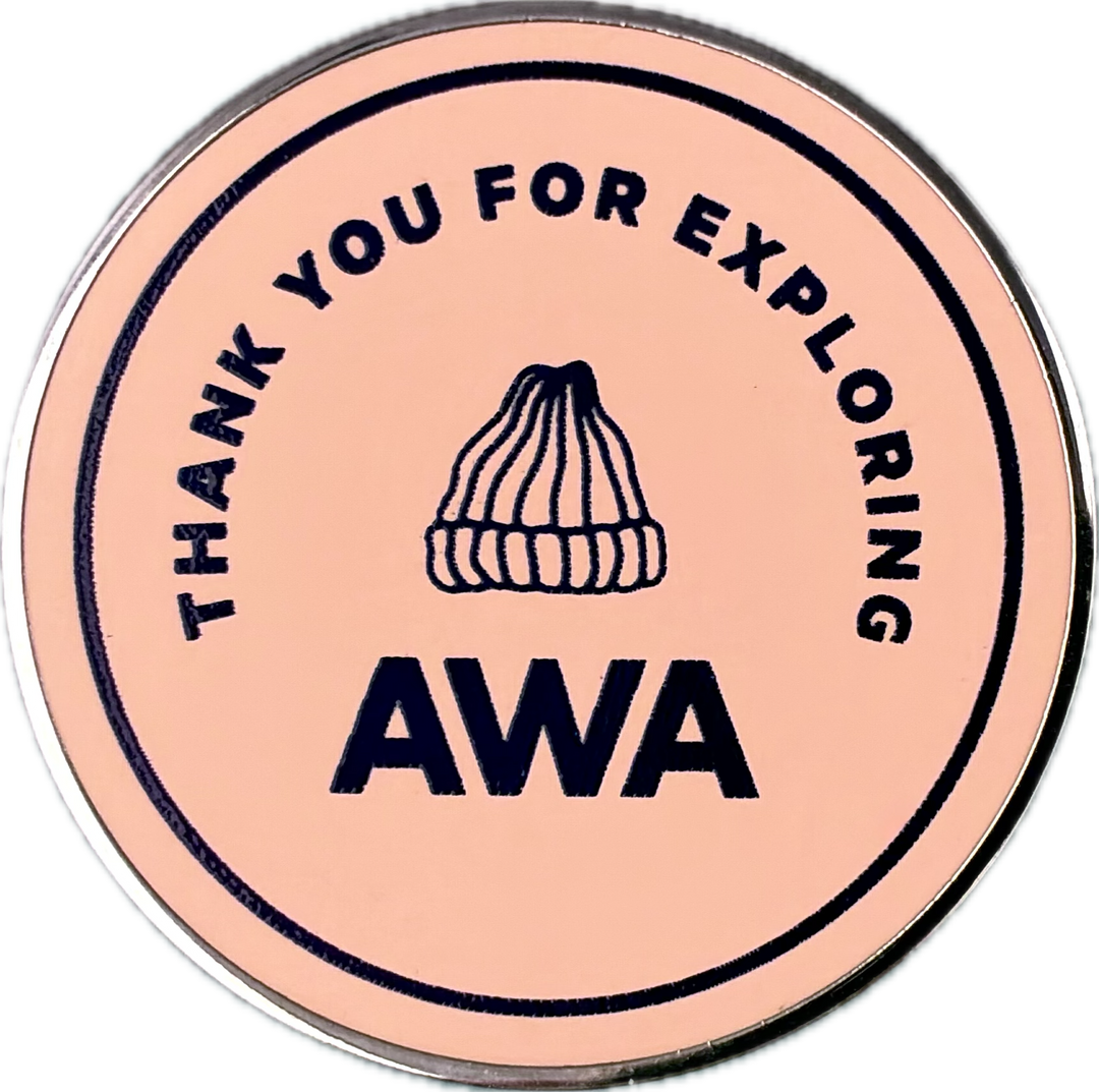 Adventure Pin - Peach & Blue Hat