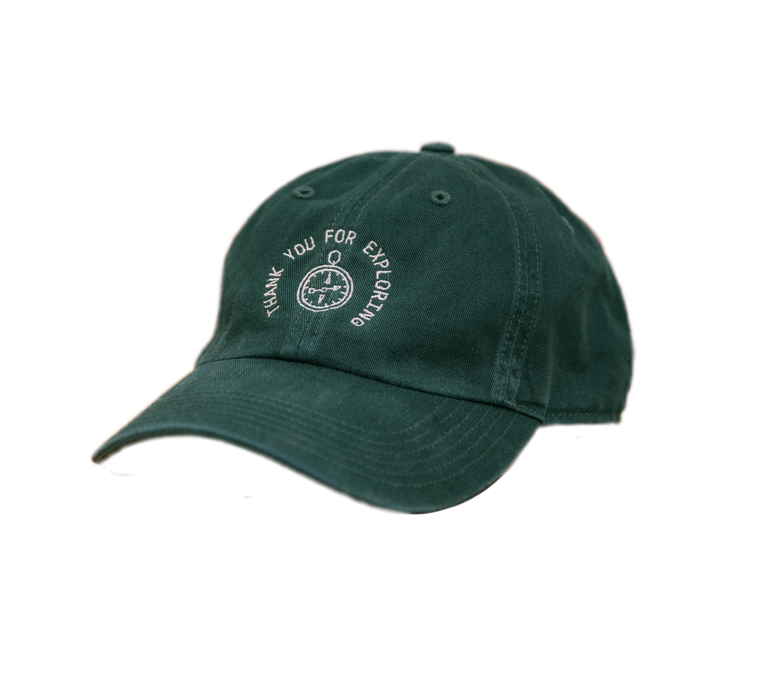 Dad Cap Green AccidentallyWesAnderson