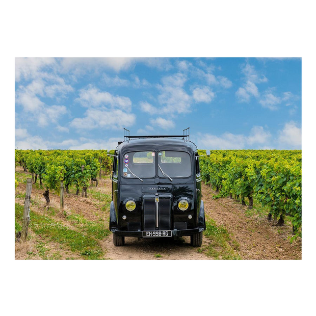 Bourgoin Cognac