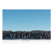 Cross-Country Skiers on Sognsvann Lake