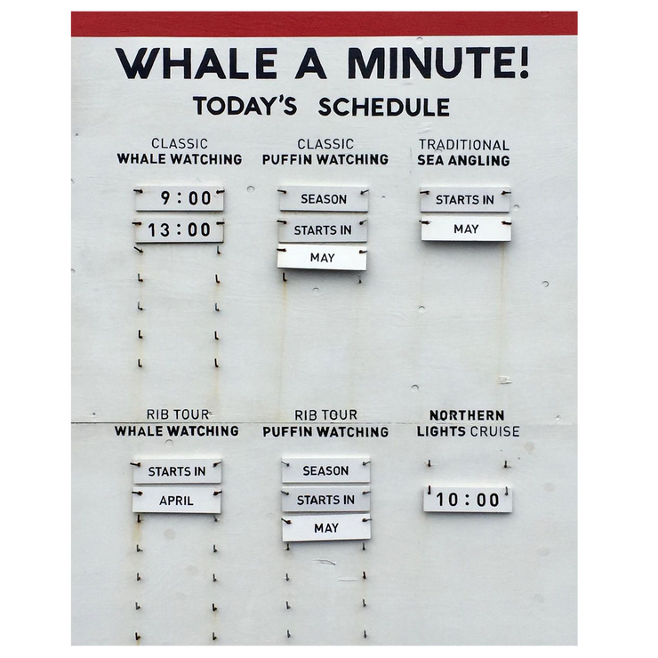 Whale-a-Minute (Reykjavík Old Harbour)